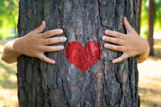 Hugging a tree with a heart symbol