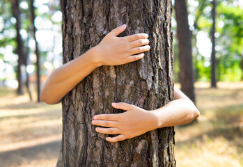 Hugging a tree trunk in a park