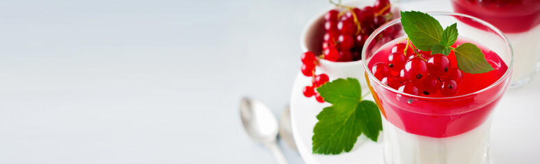 Panna cotta with red currant jelly in vintage glasswith leaves of mint and berries on gray stone or...