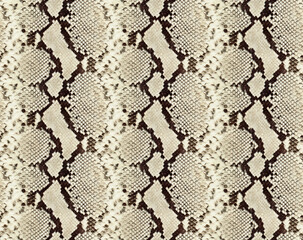 snake print seamless pattern design