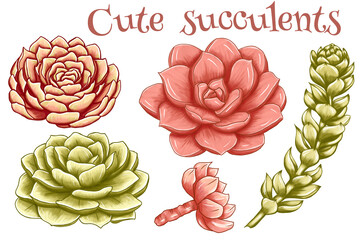Cute rich colored succulents, bright pink and light green desert plants, lovely mexivcan botanica, summer wedding design elements