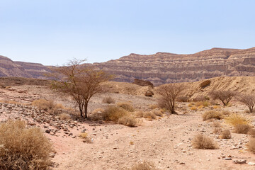 Fantastically  beautiful landscape in summer in Timna National Park near Eilat, southern Israel.