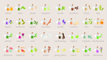 A large set of essential oil icons. Plants for aromatherapy. Oil icons for stores and magazines. The best herbs for aromatherapy. Set of medicinal plants. Vector collection for perfumes and cosmetic.