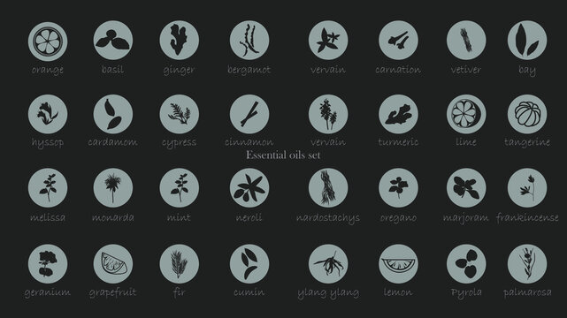 A large set of essential oil icons. Plants for aromatherapy. Oil icons for stores and magazines. The best herbs for aromatherapy. Set of medicinal plants. Vector collection for perfumes and cosmetic.