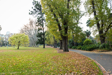 Fitzroy Gardens near Melbourne CBD on Autumn.