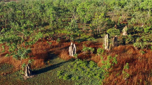 Litchfield Park Mounds Of Magnetic Termite Mounds In Northern Territory Of Australia. - aerial