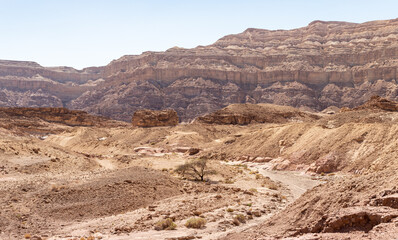 Fantastically  beautiful landscape in summer in Timna National Park near Eilat, southern Israel.