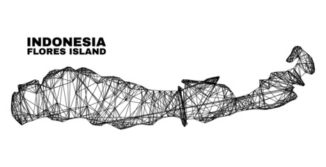 carcass irregular mesh Flores Island of Indonesia map. Abstract lines form Flores Island of Indonesia map. Wire carcass flat network in vector format.