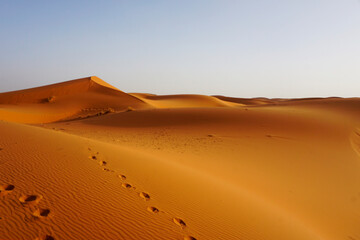 Fototapeta na wymiar The dunes of Erg Chebbi, Morocco