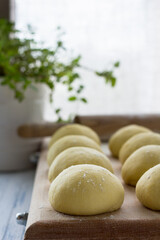 Cooking corn tortillas or buns. Raw cut dough on a wooden board against the background of the window. Selective focus, front view. Homemade healthy food concept