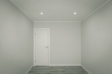 Modern light interior of empty room without furniture. Stylish apartment after renovation. Front view of wall with closed door.