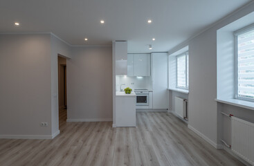 Contemporary interior of renovated studio apartment in scandinavian style. White kitchen set with fridge and oven. Green apples.