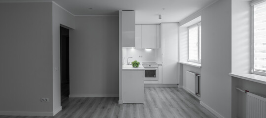 Contemporary interior of renovated studio apartment in scandinavian style. White kitchen set with fridge and oven. Green apples.