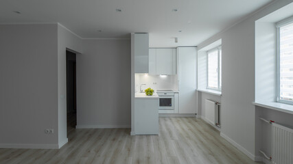 Contemporary interior of renovated studio apartment in scandinavian style. White kitchen set with fridge and oven. Green apples.