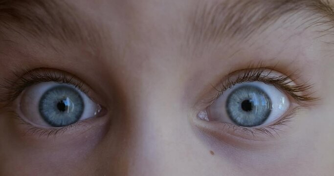 Child Girl Looks and Is Surprised Happy to Receive Surprise. Portrait Little Kid With Blue Eyes Looking at Camera Closeup. Surprised Girl Face. Close up of Shocked Child Face Expression. Wow Emotion.