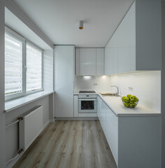Bright interior of kitchen in luxury studio apartment. Parquet floor. White kitchen set with sink, oven and fridge. Green apples.