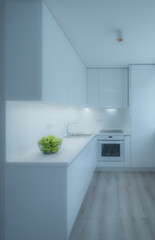 Bright interior of kitchen in luxury studio apartment. Parquet floor. White kitchen set with sink, oven and fridge. Green apples.