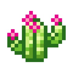 Cactus pixel art. Vector picture.