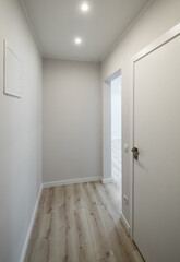 Fototapeta na wymiar Contemporary apartment of entrance hall in modern flat. White walls. Parquet floor.