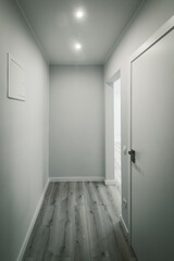 Modern bright interior of hall in luxury apartment. White walls. Beige parquet floor.