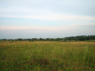 The flat rural mown field begins to turn green again. There is a cloudy evening sky over the field.