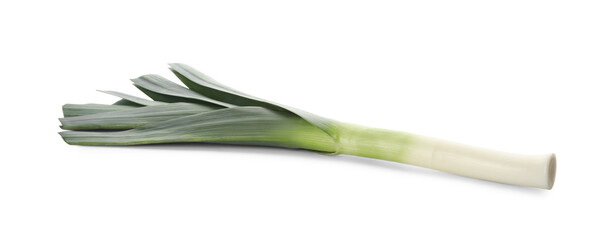 Fresh raw leek isolated on white. Ripe onion