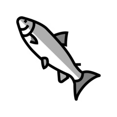 atlantic salmon color icon vector. atlantic salmon sign. isolated symbol illustration