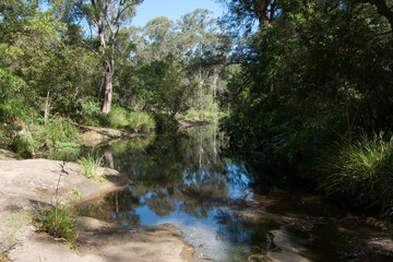 Sydney Australia, view of bushland along river in the public Lake Paramatta reserve