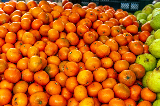 Orange on display at the market