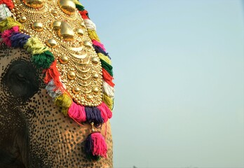 hindu god ganesh