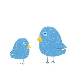 Birds set. Chalk drawing. Children's drawing doodle bird