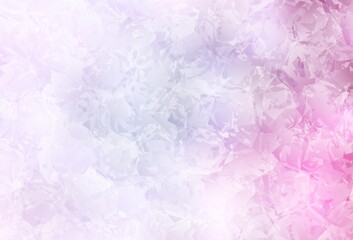 Light Pink vector natural artwork with roses, flowers.