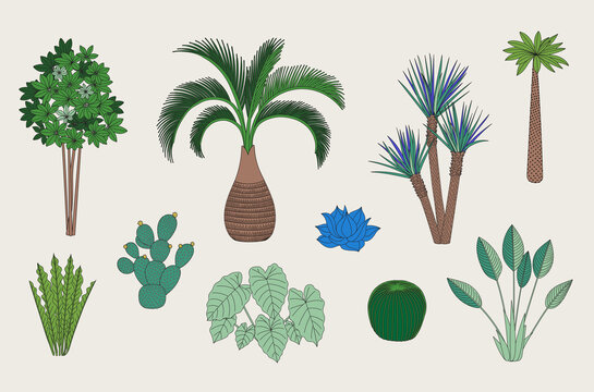 Floral Set. Exotic trees, cactus and palms. Blue and green.