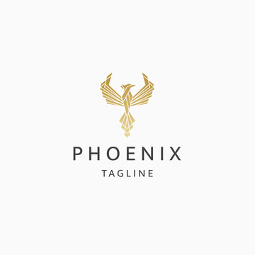 24 232 Best Phoenix Bird Logo Images Stock Photos Vectors Adobe Stock