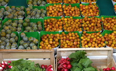 étalage fruits et légumes