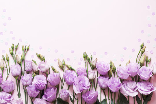 Flowers composition. purple flowers on pink background. Spring, easter ,birthday card concept mock up. Flat lay, top view, copy space.