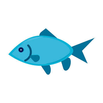 Fish flat icon. Pictogram for web. Simple symbol isolated on white background. Vector eps10