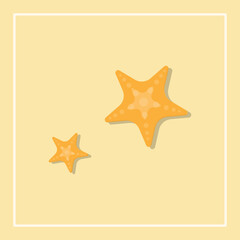 Fototapeta na wymiar Vector illustration of starfish. isolated background vector flat design.