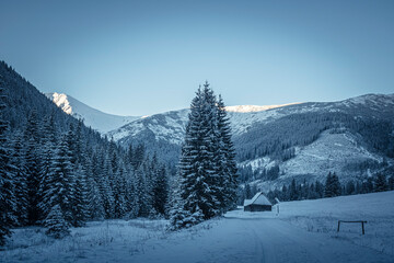 Polana Chochołowska in winter, Western Tatra Mountains, Poland. The valley and old wooden chalets covered in snow. Selective focus on the trees, blurred background.