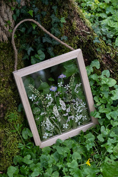 Flower arrangement in wooden frame, decorations for a woodland ceremony