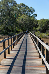 Fototapeta na wymiar Two people cycling on a boardwalk over the mudflats at Lota, Queensland, Australia.