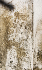 Moist stain on a concrete wall with sun light casted on.