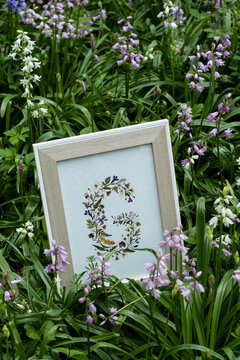 Details of floral letter G, decorations for a woodland naming ceremony