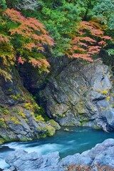 紅葉の奥多摩　鳩ノ巣渓谷