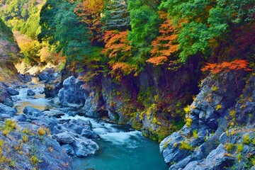 紅葉の奥多摩　鳩ノ巣渓谷