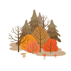 Autumn forest. Colorful illustration with deferent trees