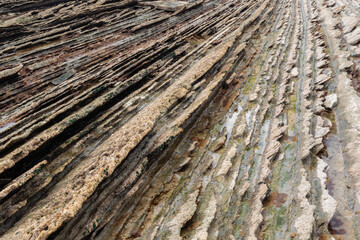 Flysch in basque country coast