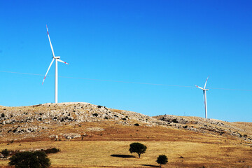 wind turbines farm