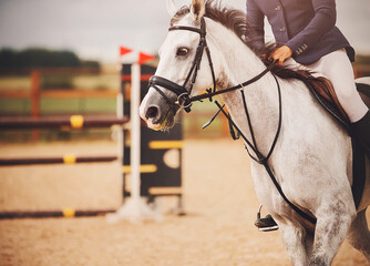 A beautiful dappled gray horse with a rider in the saddle quickly jumps around the arena near the barriers for show jumping on a summer day. Equestrian sports. Horse riding.