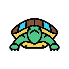 turtle tropical color icon vector. turtle tropical sign. isolated symbol illustration